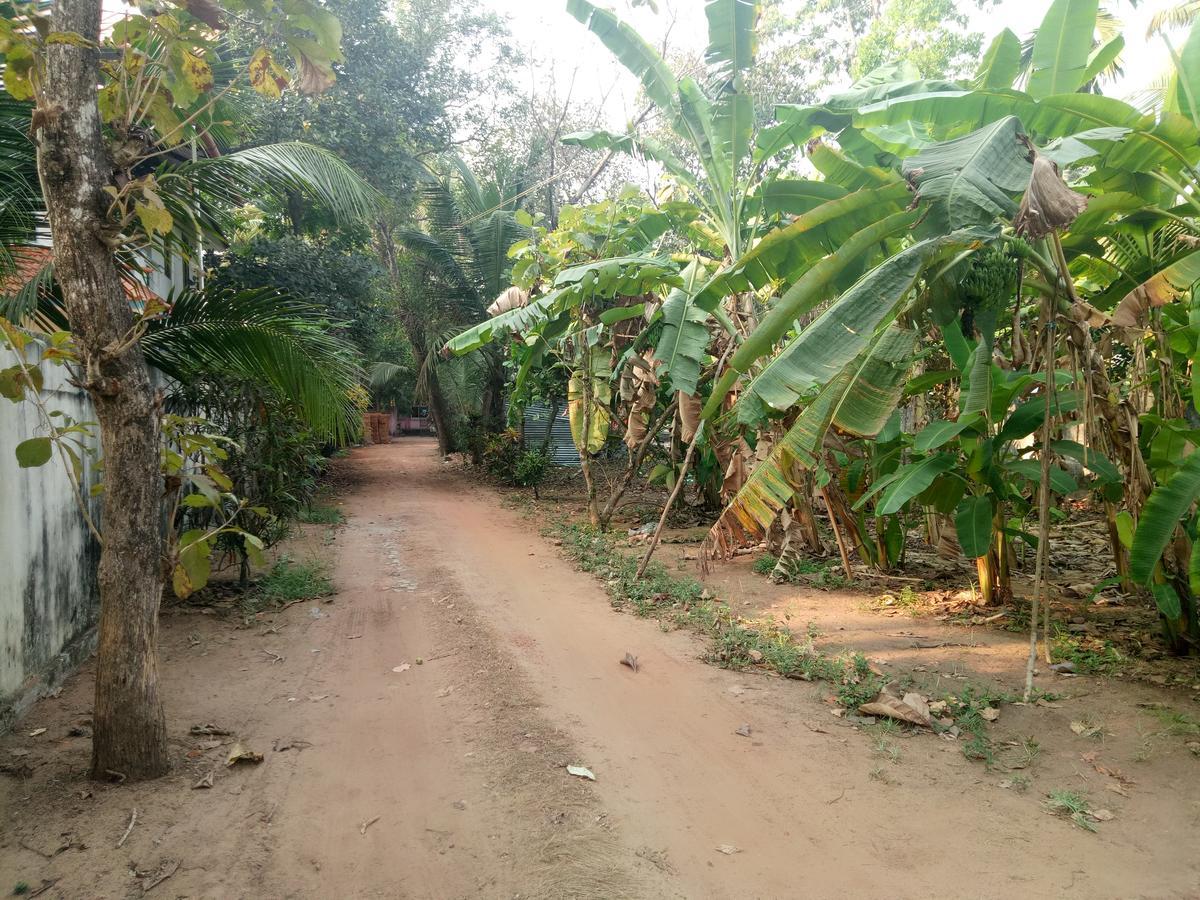 Ferienwohnung Agape Marari Mararikulam Exterior foto