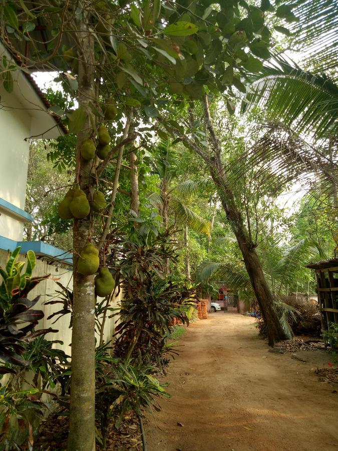 Ferienwohnung Agape Marari Mararikulam Exterior foto